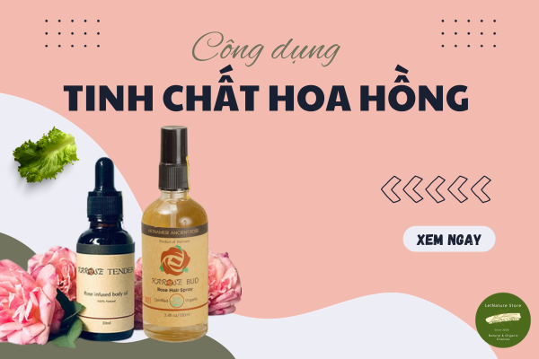 Công Dụng Tuyệt Vời Của Tinh Chất Hoa Hồng Mà Không Phải Ai Cũng Biết