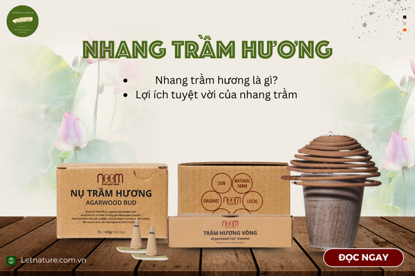 Nhang Trầm Hương Là Gì? Những Lợi Ích Tuyệt Vời Của Nhang Trầm Hương