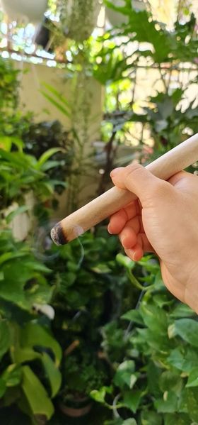 Điếu hơ ngải cứu rừng (1 gói 15 cây)