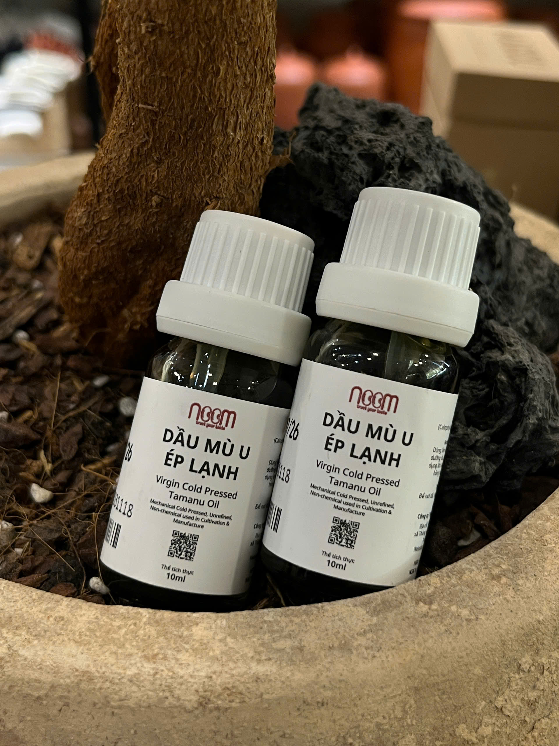 Dầu mù u ép lạnh 10ml - Noom