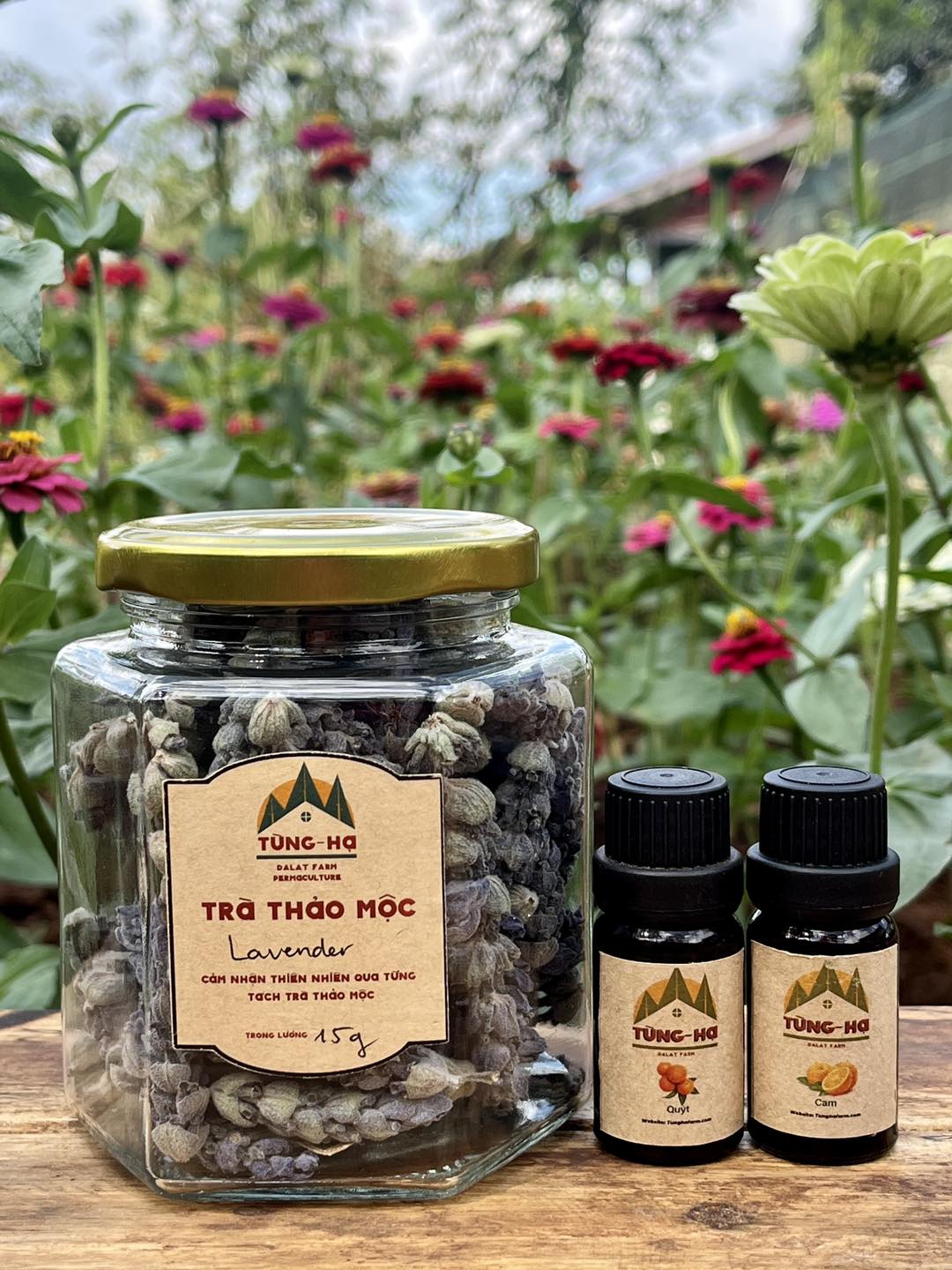 Trà hoa phối (Flower blended Tea) nhiều vị- Tùng Hạ