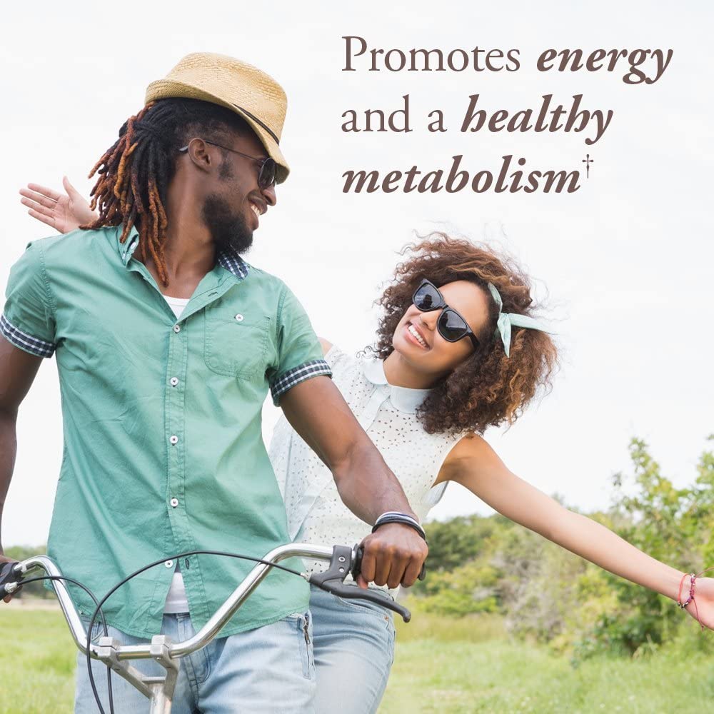 Vitamin B Complex tổng hợp hữu cơ Mykind Organic Garden of life