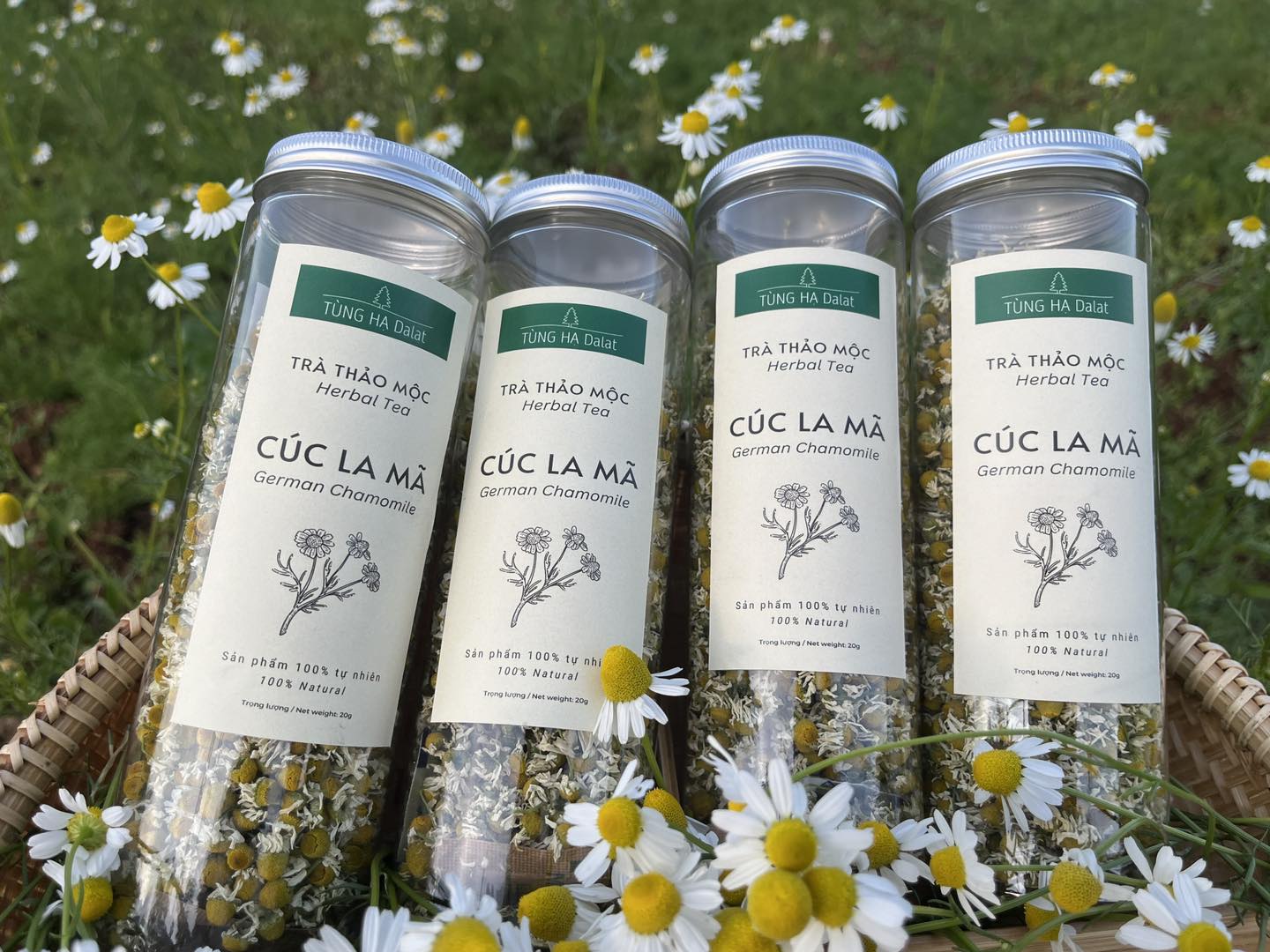 Trà hoa phối (Flower blended Tea) nhiều vị- Tùng Hạ