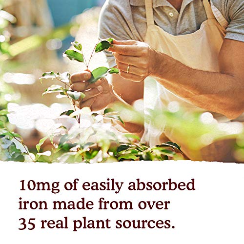 Sắt Hữu Cơ Mykind Organic Garden of life 240ml