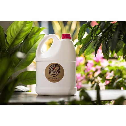 Cô Cà Chua sạch tuốt 4L & 2L (Truyền thống & Mới toanh)