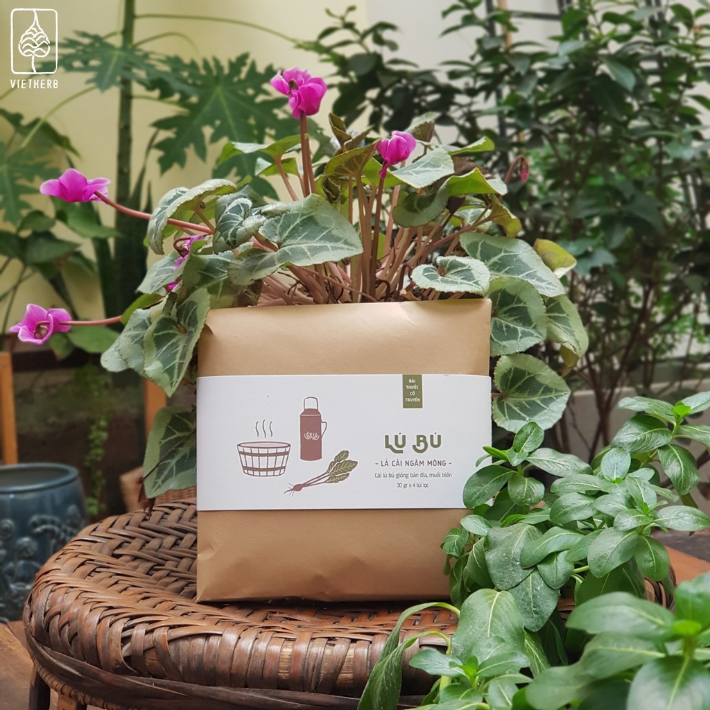 LÚ BÚ - LÁ CẢI DƯỠNG SINH CHO PHÁI NỮ (4 túi lọc) - VietHerb