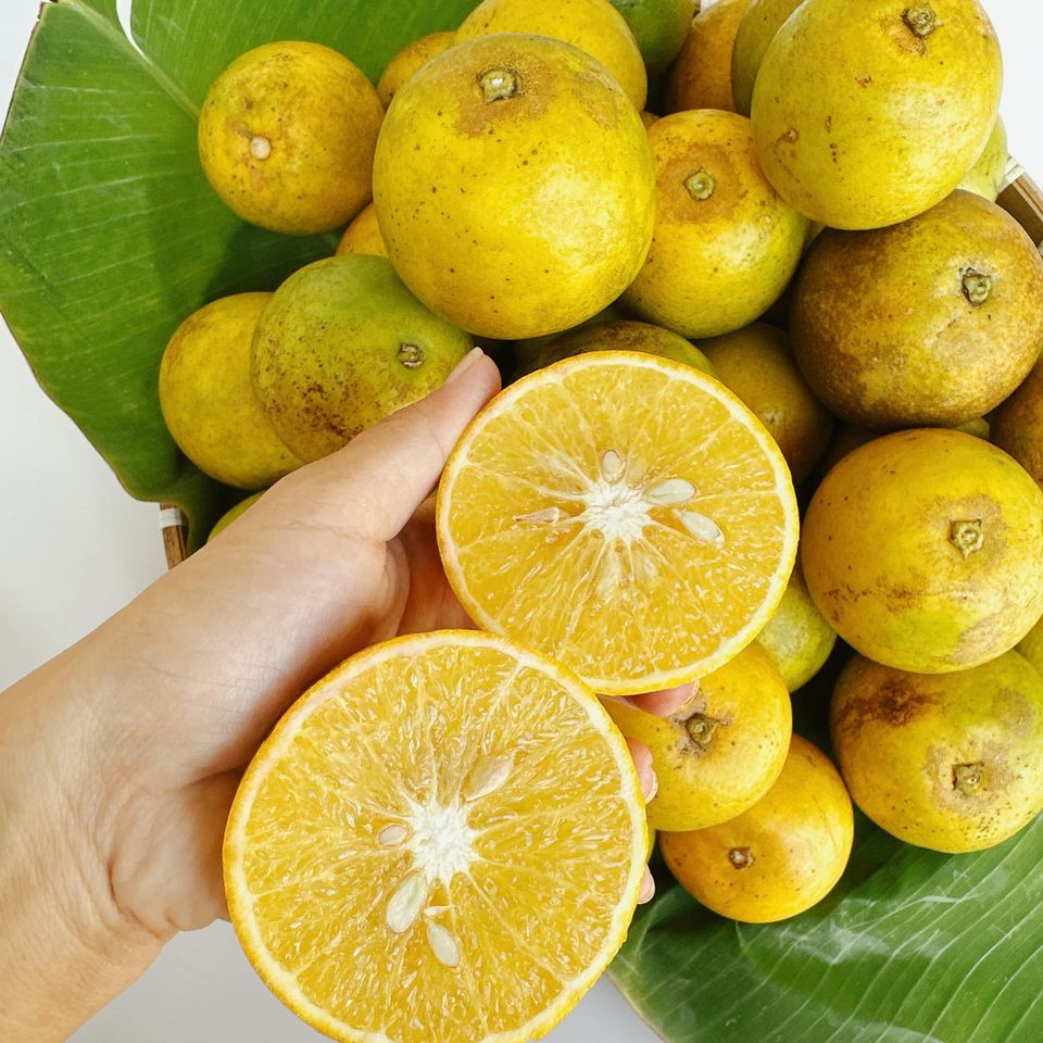 Cam xoàn hữu cơ LetNature