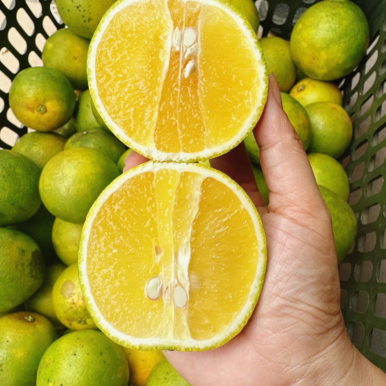 Cam xoàn hữu cơ LetNature