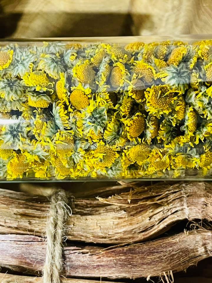 Cúc Cổ Trà Hoa hữu cơ Karose (lọ 20gr) - chứng nhận hữu cơ USDA