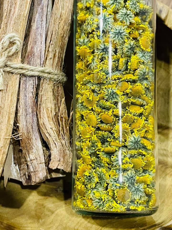 Cúc Cổ Trà Hoa hữu cơ Karose (lọ 20gr) - chứng nhận hữu cơ USDA