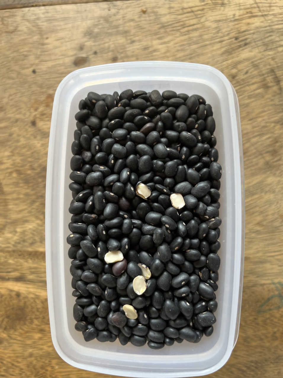 Đậu Tây Đen - Noom (100% giống thuần chủng, quy trình canh tác hữu cơ)