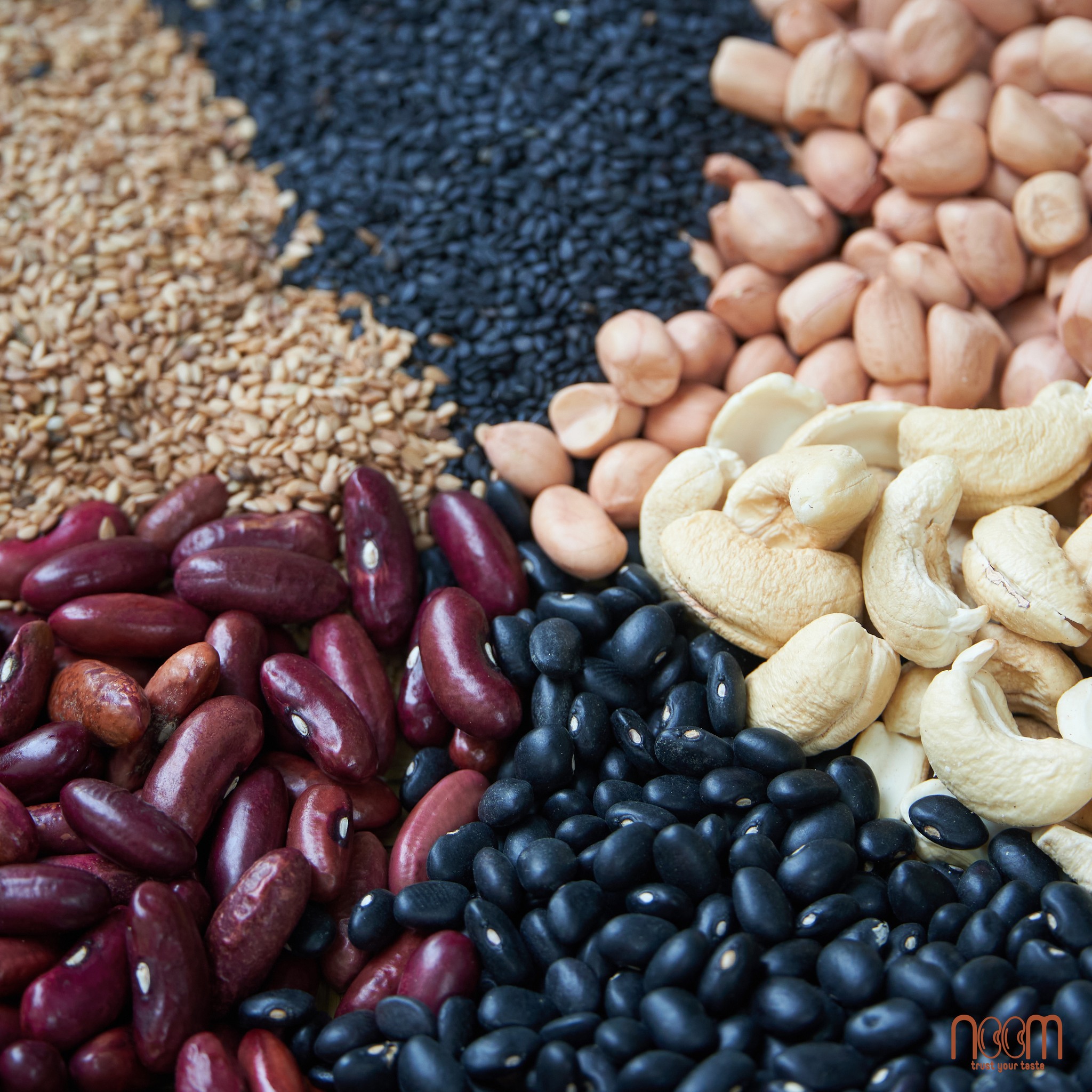 Đậu Tây Đen - Noom (100% giống thuần chủng, quy trình canh tác hữu cơ)