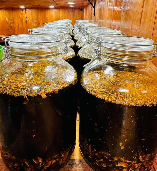 Dầu mù u nghệ hữu cơ 30ml (organic tamanu & turmeric oil) - Karose