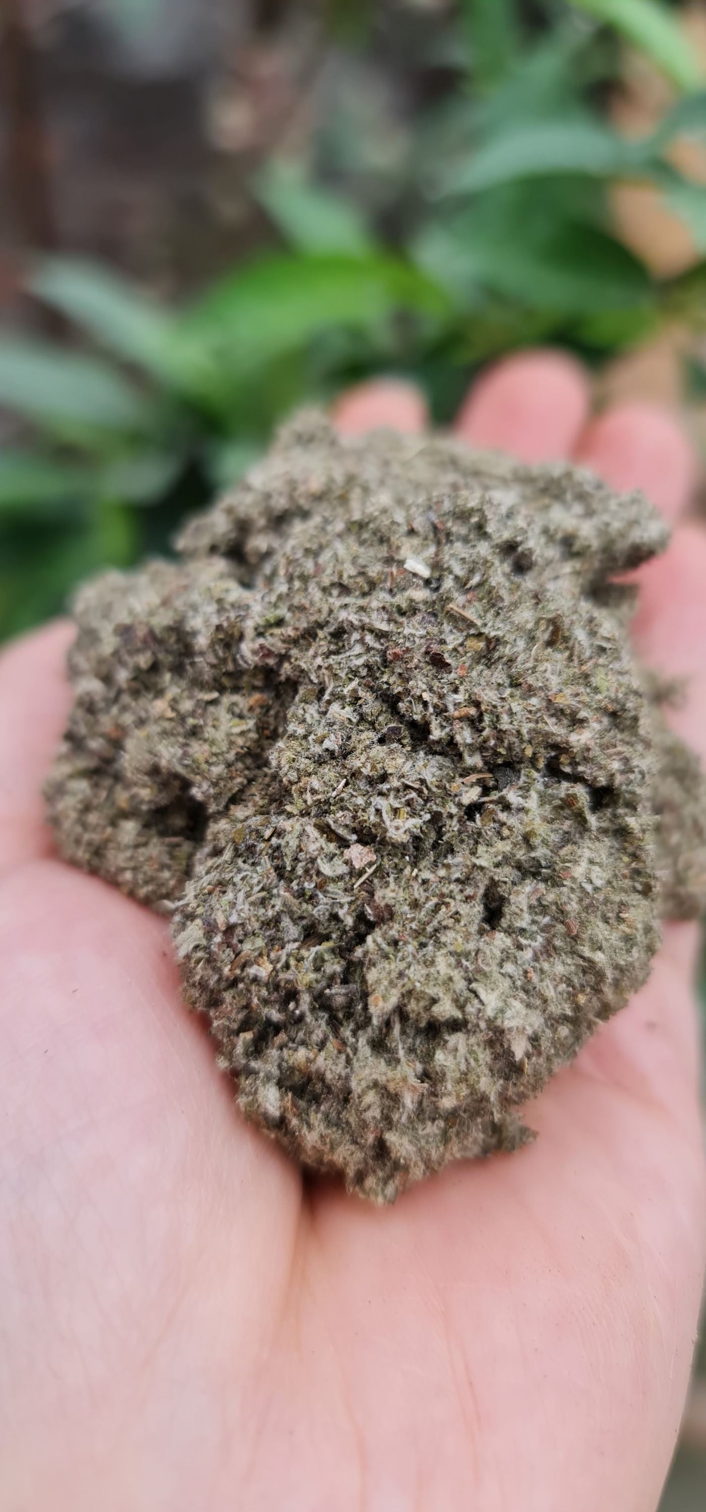 Điếu hơ ngải cứu rừng (1 gói 15 cây)