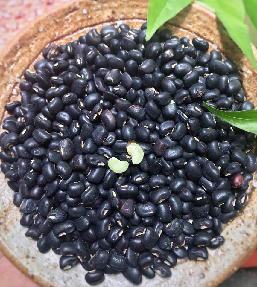 Đậu Đen Xanh Lòng-Noom