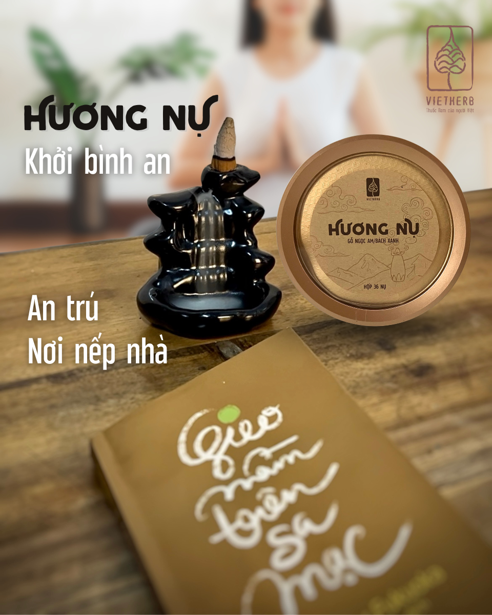 HƯƠNG NỤ BÁCH XANH - VietHerb