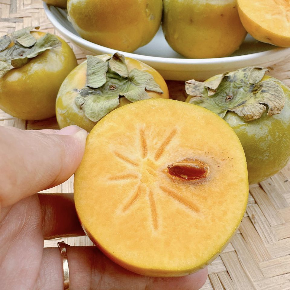 Hồng giòn giống cổ chăm bón không hóa chất (Thị Trấn Dran Đơn Dương Lâm Đồng)