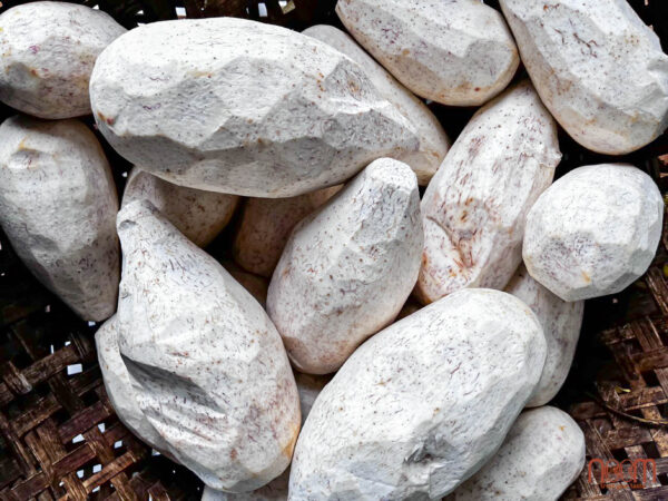 Chè đậu xanh (đường Noom, đậu xanh giống thuần chủng, khoai môn Noom)