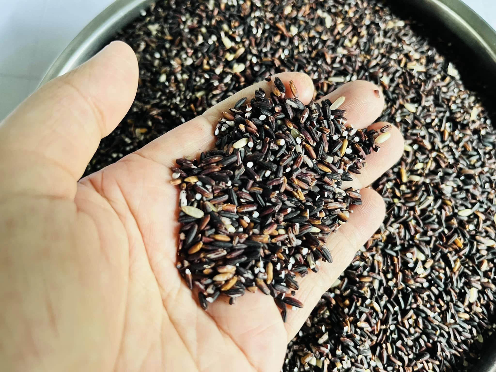 Nếp Than Lứt Thơm Rằng Thơm