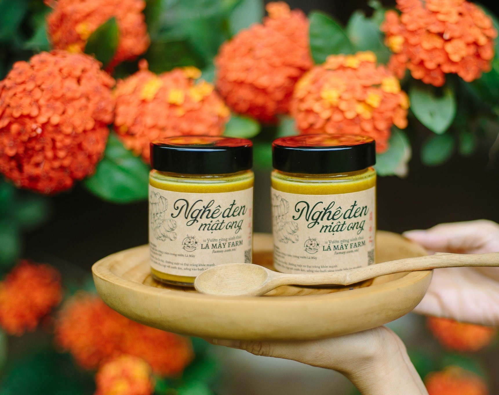 Nghệ Đen Mật Ong - Lá Mây Farm