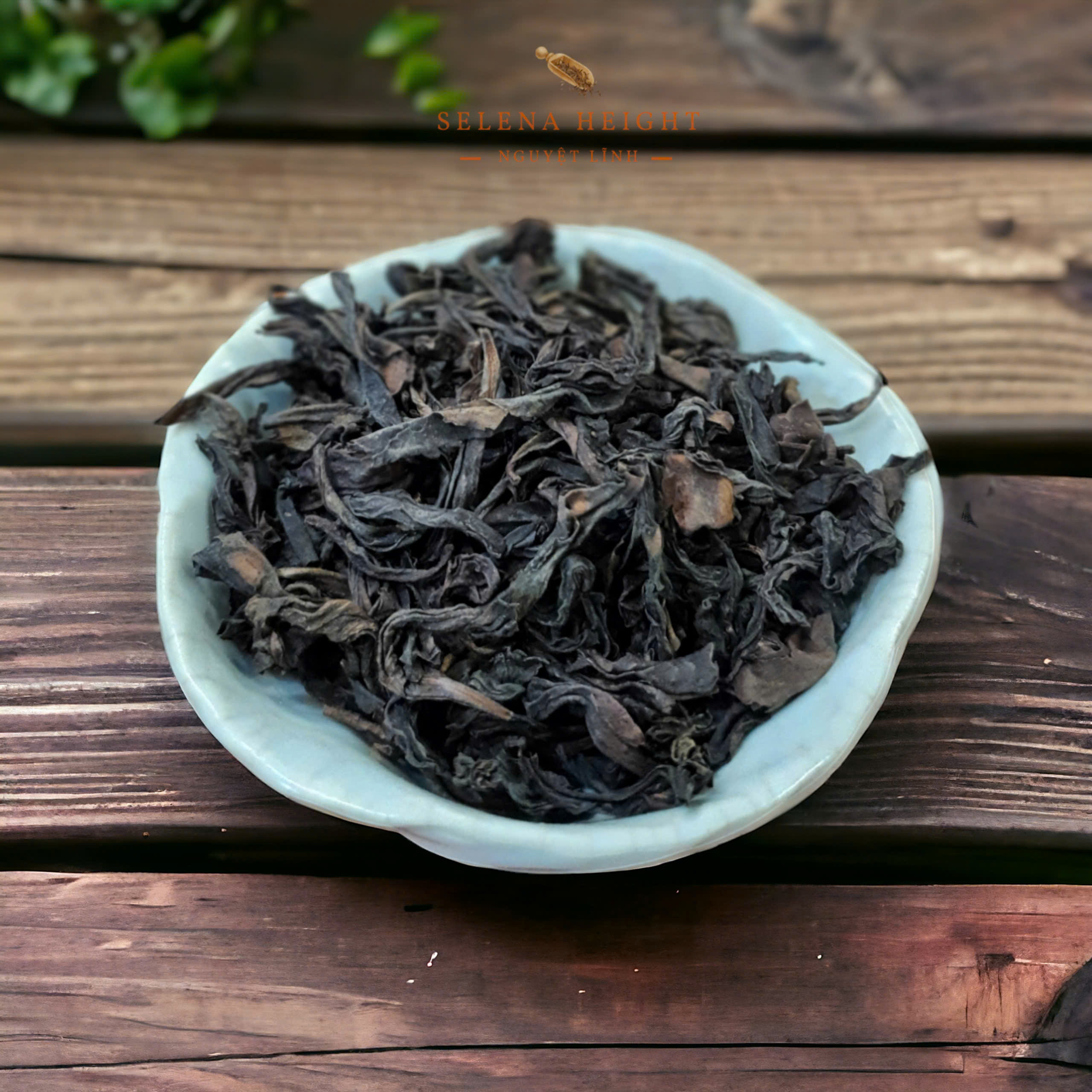 Nham trà Vũ Di (Qua Tử Kim) - Gói 10g & Hộp 36g