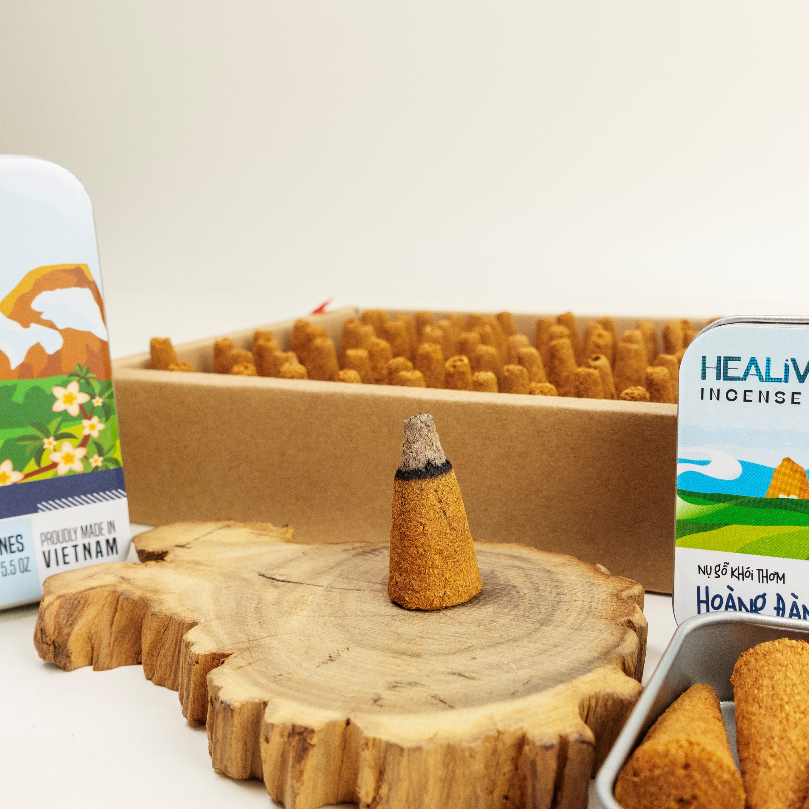 Nụ Gỗ Thơm Hoàng Đàn Lạng Sơn (Lang-Son Cypress) - Healiverse