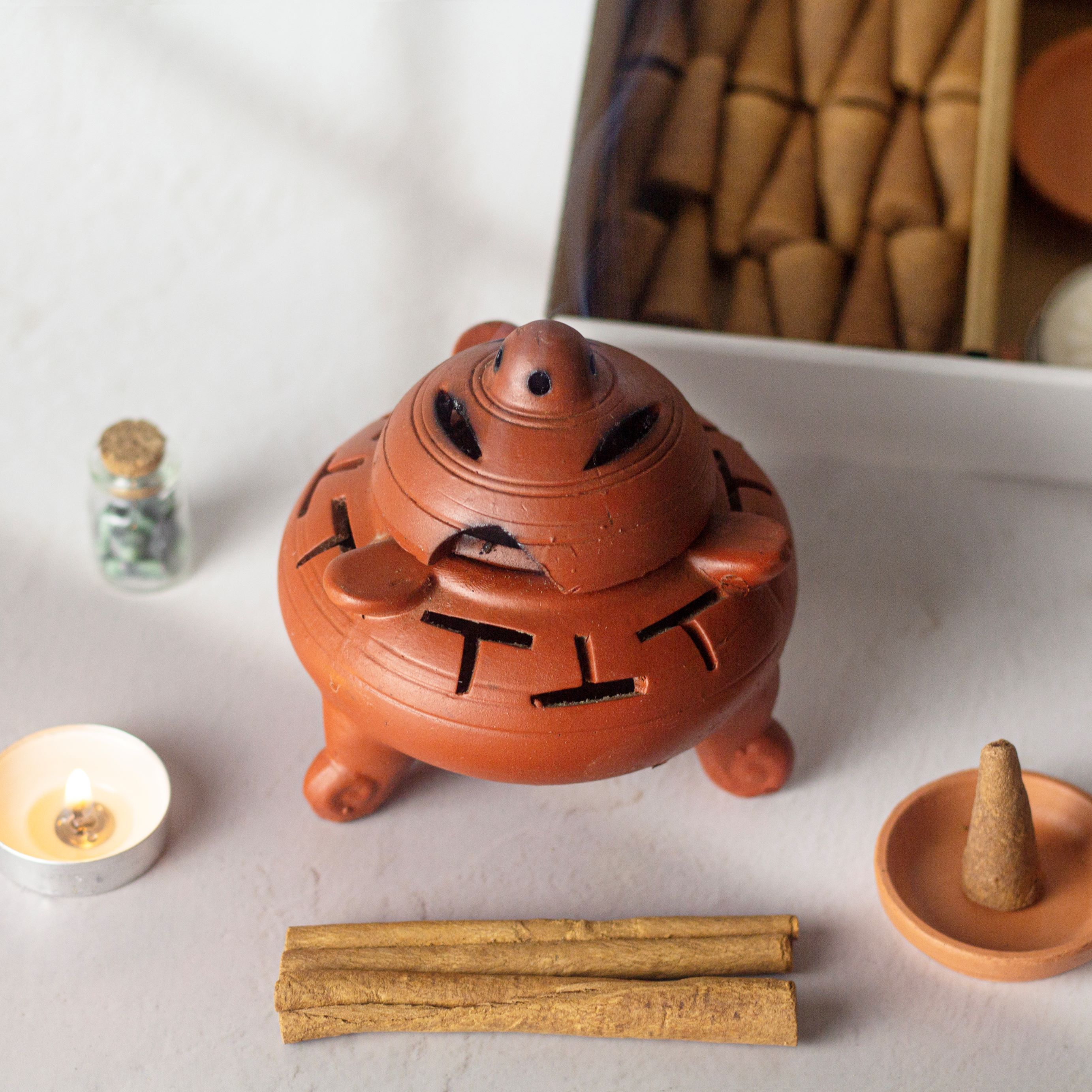 Nụ Gỗ Thơm Ngọc Am Hà Giang (Ha-Giang Weeping Cypress) - Healiverse