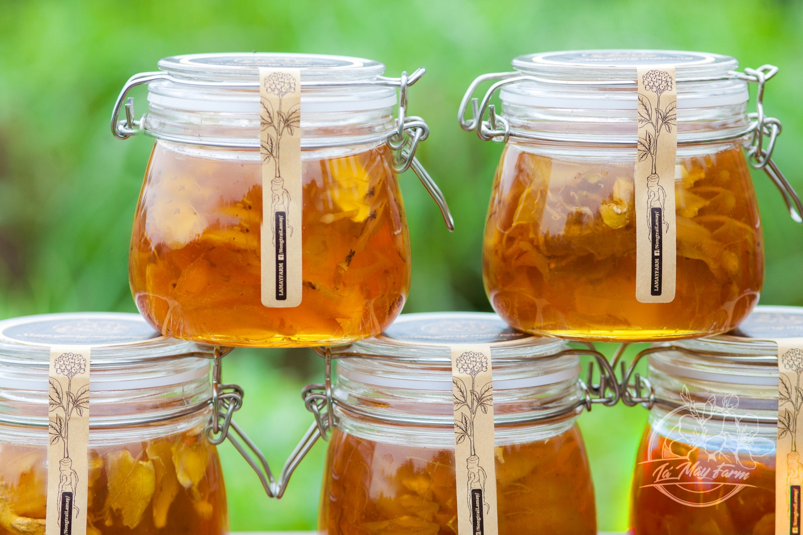 Hồng Sâm Mật Gừng 500ml - Lá Mây Farm