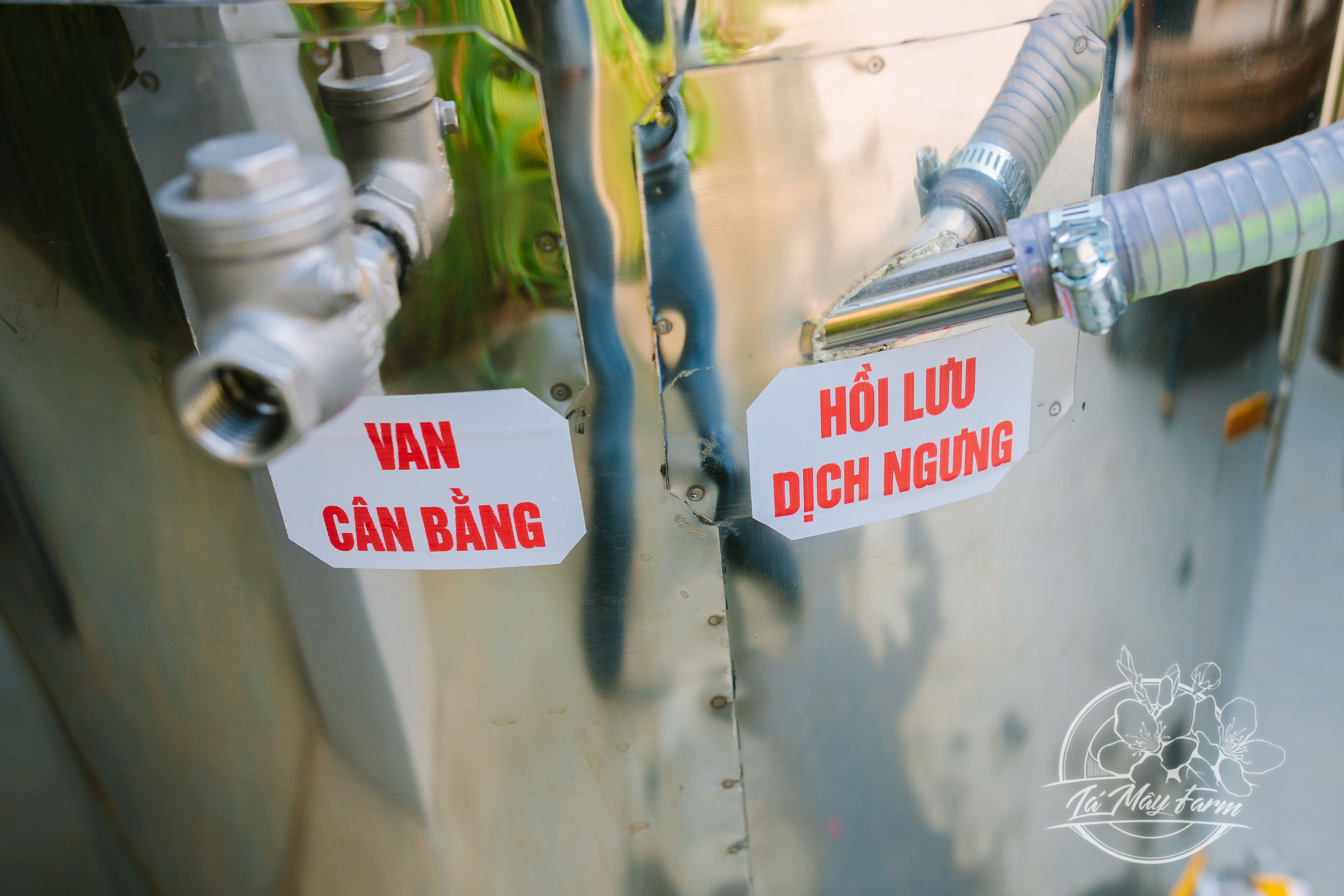 Tinh dầu sả chanh (hũ khuếch tán) 10ml - Lá Mây Farm