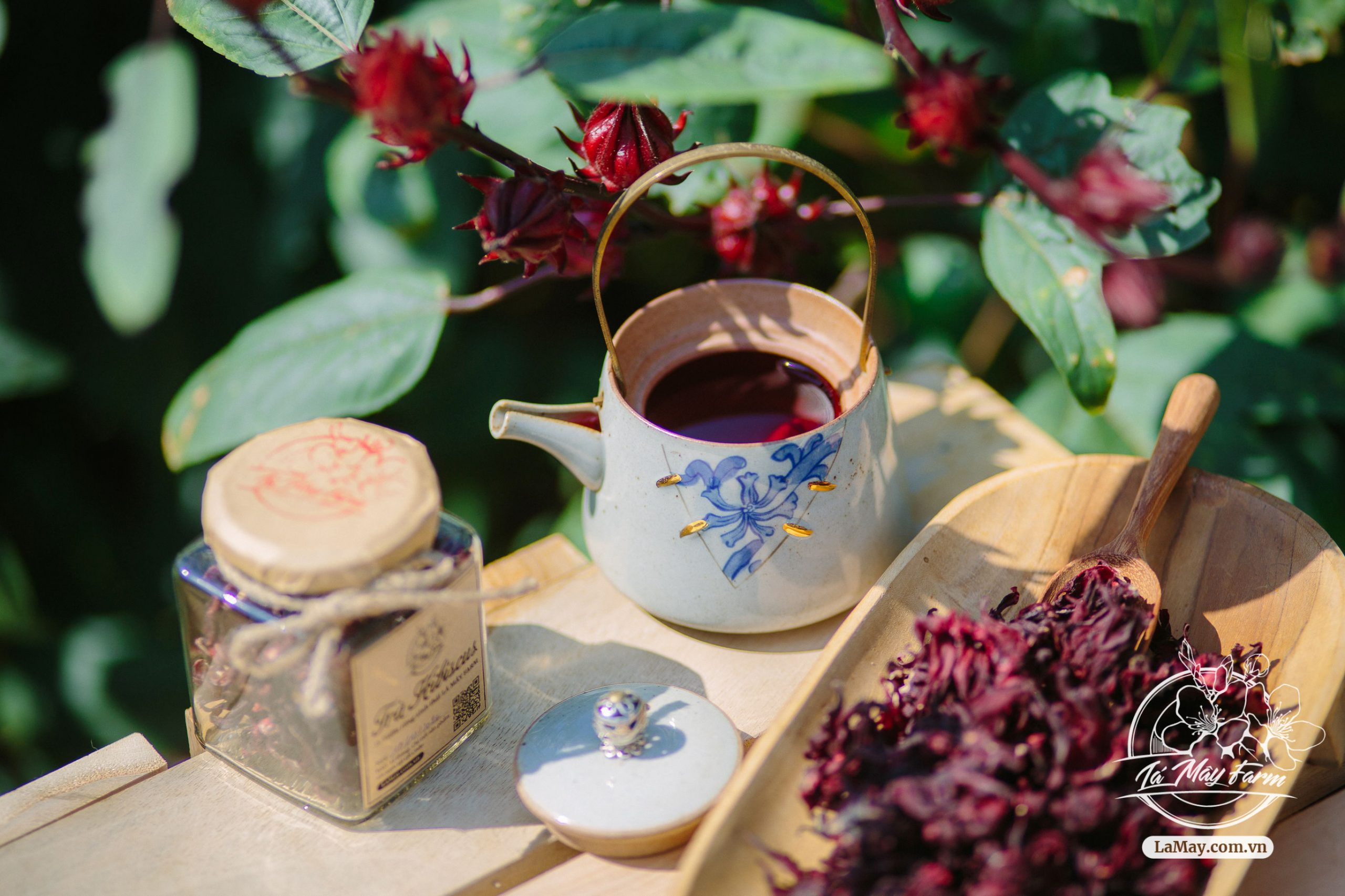 Trà Hibiscus,  Mứt Hibiscus, Siro Hibiscus - Lá Mây Farm