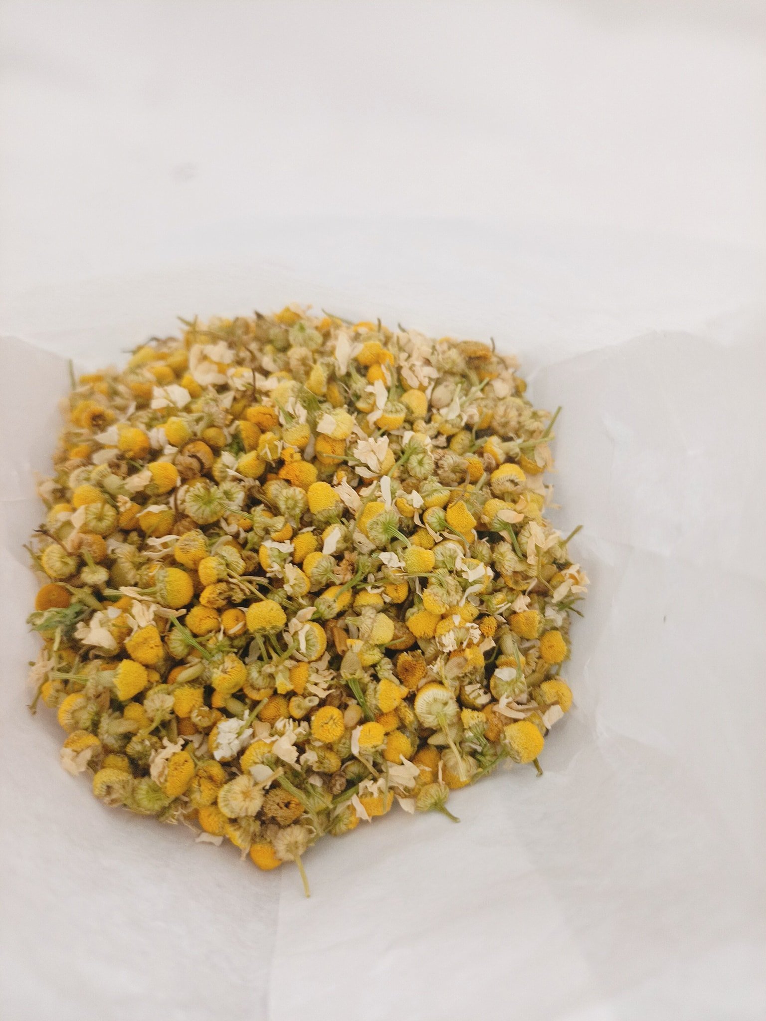 Trà hoa cúc nguyên bông Apotheke (65g)