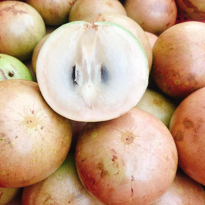 Vú sữa Hồng