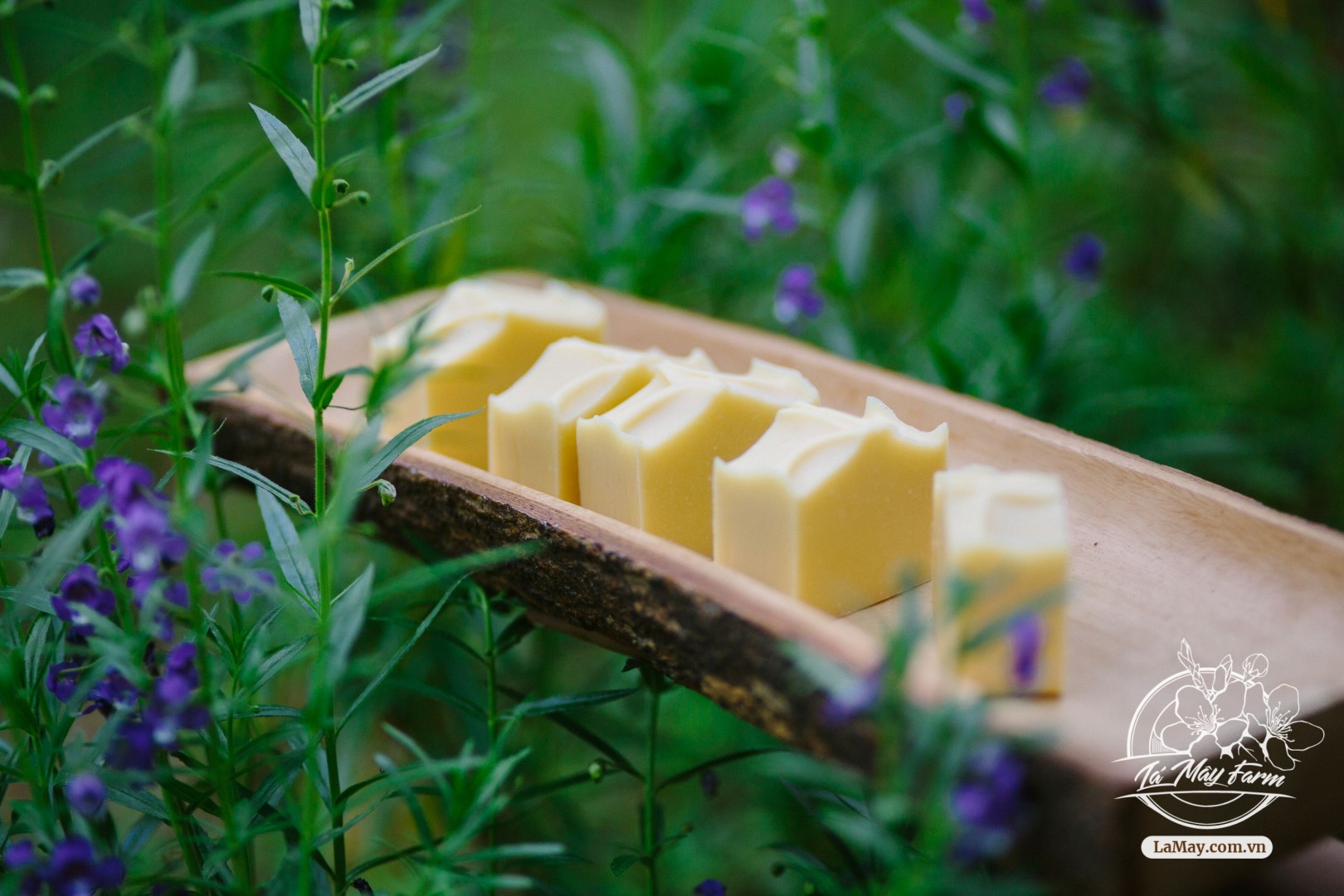 Xà bông Lá Mây Farm (80-85gr) (bạc hà sả chanh, nghệ đỏ, rau má, khuynh diệp quế)