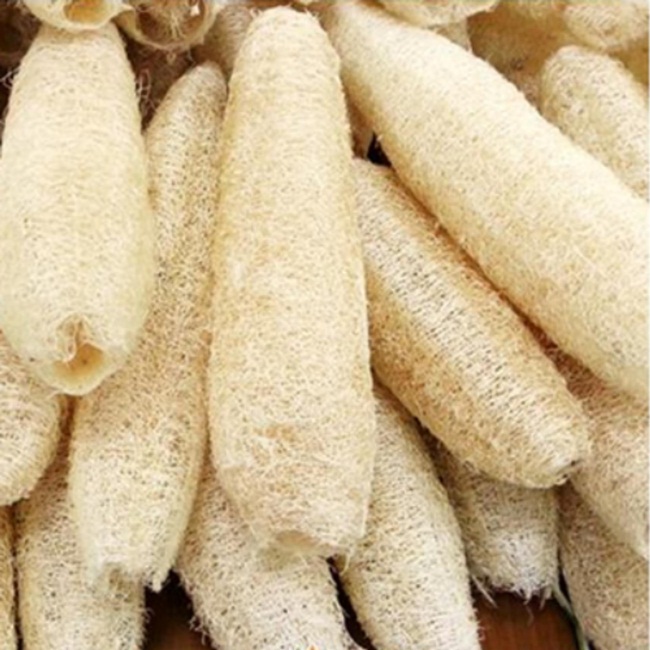 Xơ Mướp khô Noom