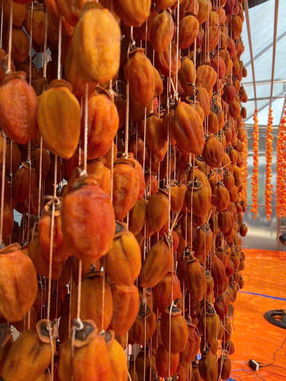 Hồng sấy gió Đà Lạt 500g