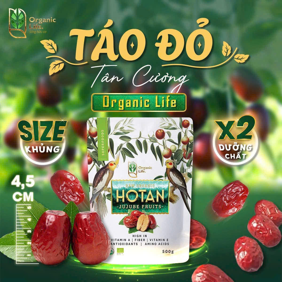 Combo Táo Đỏ Hotan Organic Life 500g & Kỷ Tử Đỏ Hữu Cơ 200g
