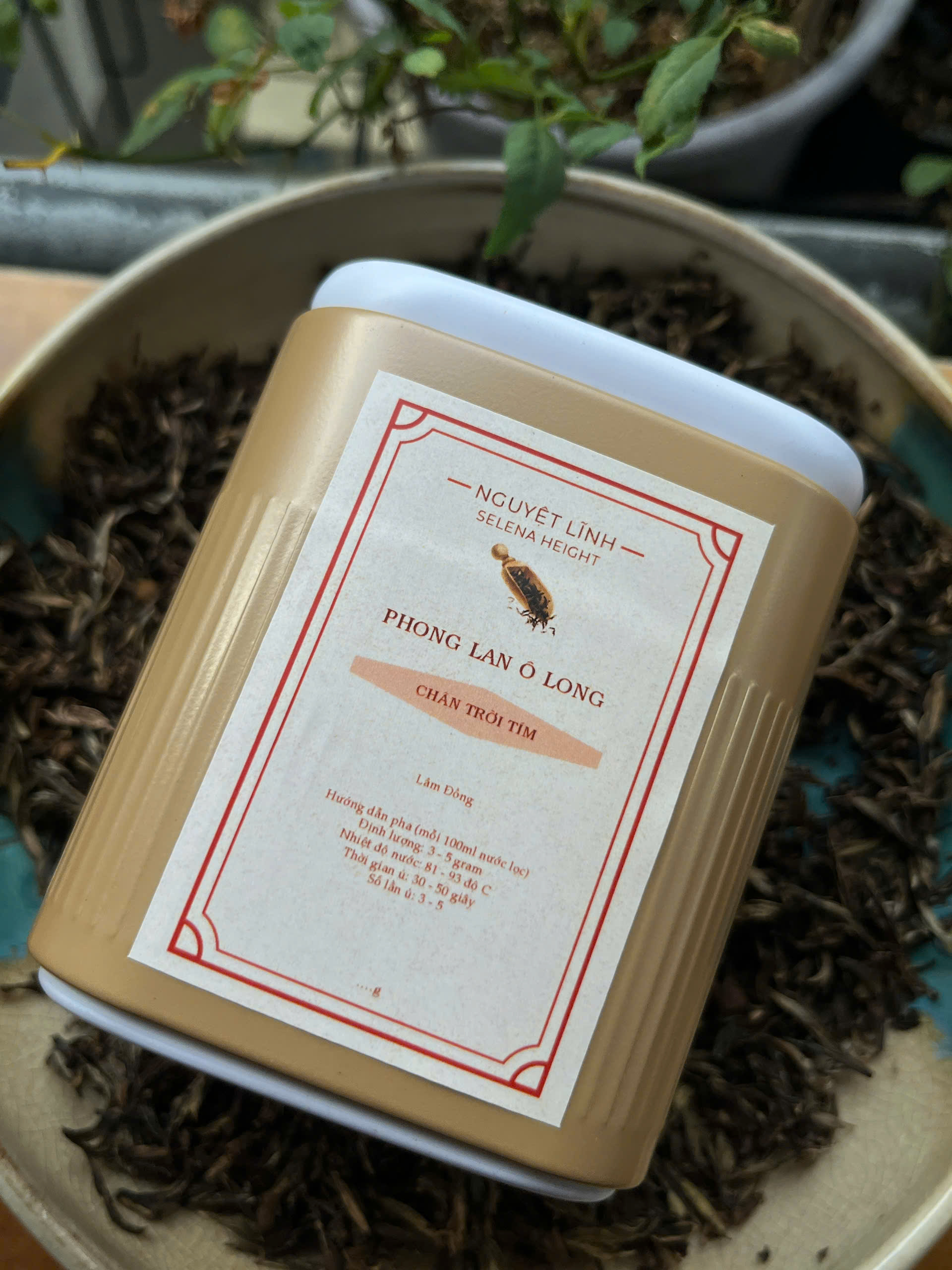 PHONG LAN Ô LONG - CHÂN TRỜI TÍM (OOLONG BAO LOC)