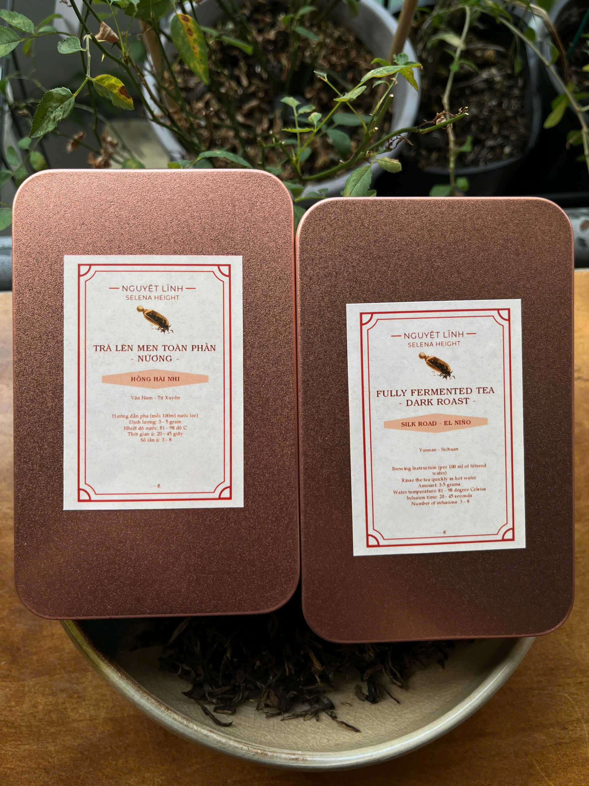 TRÀ LÊN MEN TOÀN PHẦN NƯỚNG - FULLY FERMENTED TEA DARK ROAST