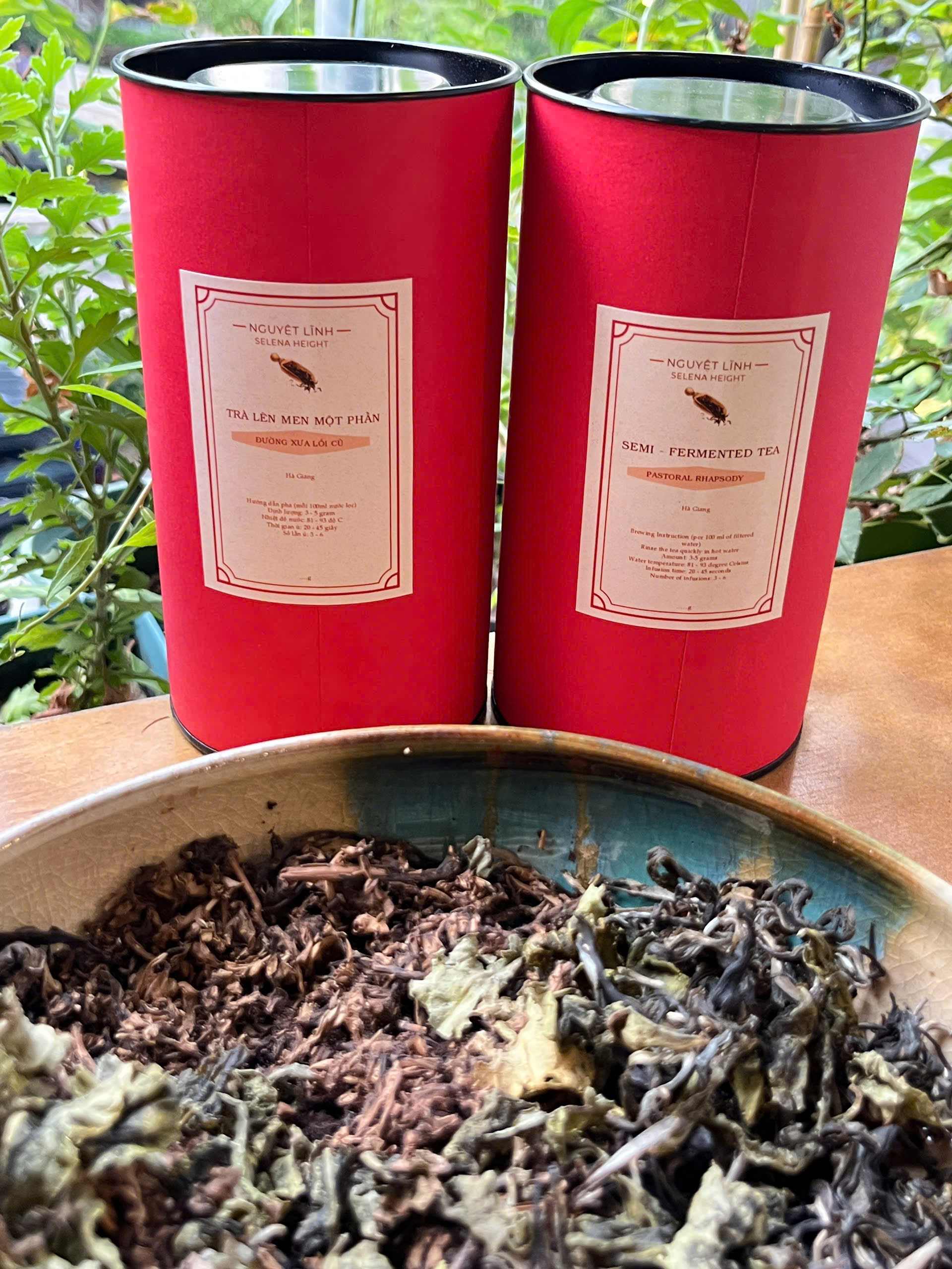 TRÀ LÊN MEN MỘT PHẦN  - SEMI - FERMENTED TEA - Hà Giang