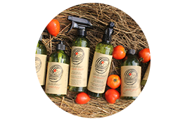 Vệ sinh nhà cửa