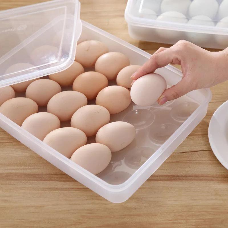 Hộp Đựng Trứng 24 Quả Có Nắp Đậy Nhựa Việt Nhật Khay Bảo Quản Trứng A1371