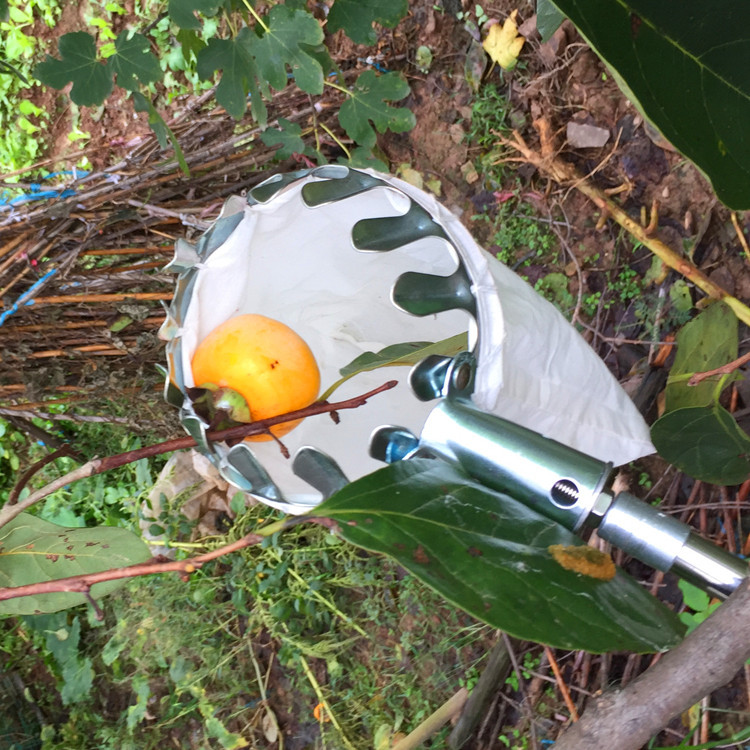 Vợt hái trái cây trên cao bằng thép không gỉ có túi đựng vải hứng không rơi rụng hư hỏng L0751