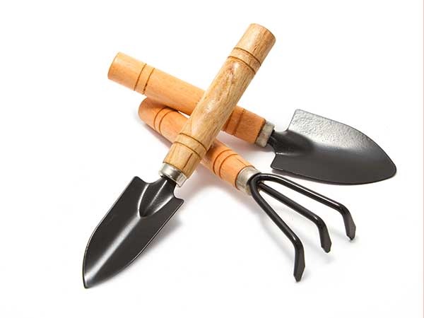 Bộ Cụng Cụ 3 Món Trồng Cây Cảnh, Cuốc Cào Xẻng Làm Vườn Trồng Rau Sạch Tại Nhà A1841