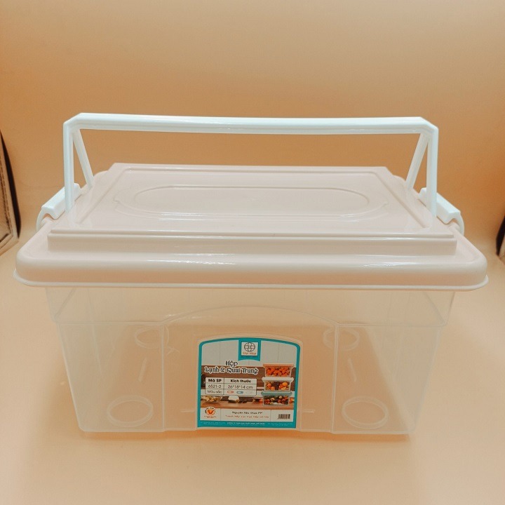 Hộp Lạnh Đựng Thực Phẩm 2 Quai Xách Việt Nhật (6521-3) Đựng Trái Cây Rau Củ Hộp Lớn A1873