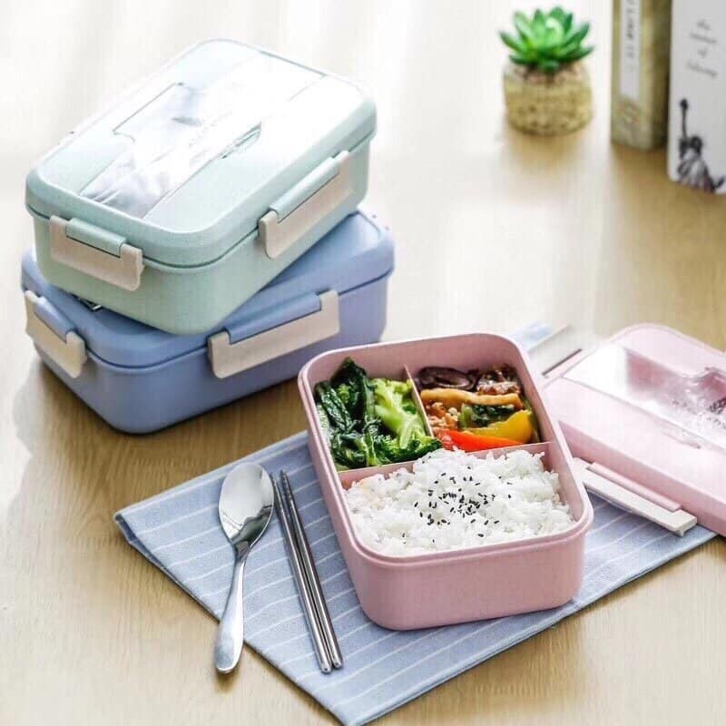 Hộp Đựng Cơm Lúa Mạch Kèm Muỗng Inox Hộp Đựng Cơm Văn Phòng A3213