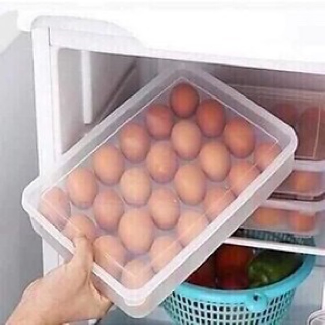 Hộp Đựng Trứng 24 Quả Có Nắp Đậy Nhựa Việt Nhật Khay Bảo Quản Trứng A1371