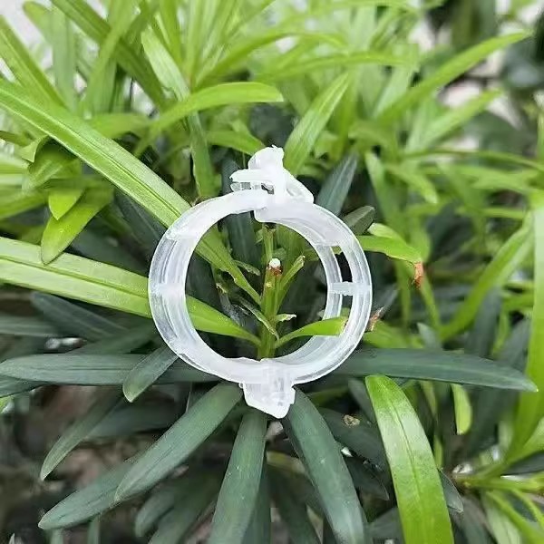 Kẹp nhựa khóa cố định buộc cành dây leo làm vườn kẹp cây ăn quả cây giống cây thân yếu L1512
