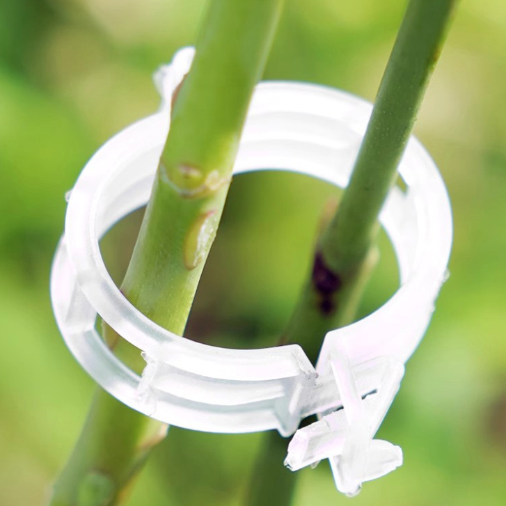 Kẹp nhựa khóa cố định buộc cành dây leo làm vườn kẹp cây ăn quả cây giống cây thân yếu L1512