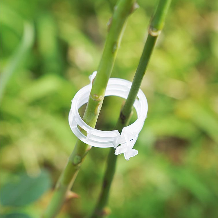 Kẹp nhựa khóa cố định buộc cành dây leo làm vườn kẹp cây ăn quả cây giống cây thân yếu L1512