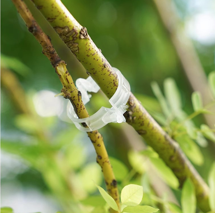 Kẹp nhựa khóa cố định buộc cành dây leo làm vườn kẹp cây ăn quả cây giống cây thân yếu L1512